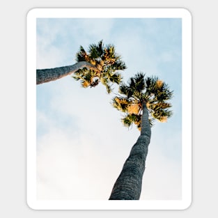 Palms print Sticker